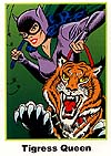 Batman Cards: No. 5 Catwoman (Ultra RARE Set)