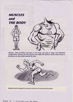 "Muscles and the Body" from Will Eisner's Expressive Anatomy (2004-2007*) page 12 LOT