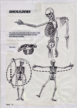 "Shoulders" from Will Eisner's Expressive Anatomy (2004-2007*) page 7 LOT