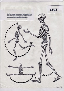 "Legs" from Will Eisner's Expressive Anatomy (2004-2007*) page 8 LOT