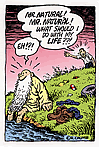 Mr. Natural Postcard NO. 153 by R. Crumb